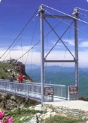 Grandfather Mountain