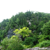 Bluff Mountain Nature Preserve